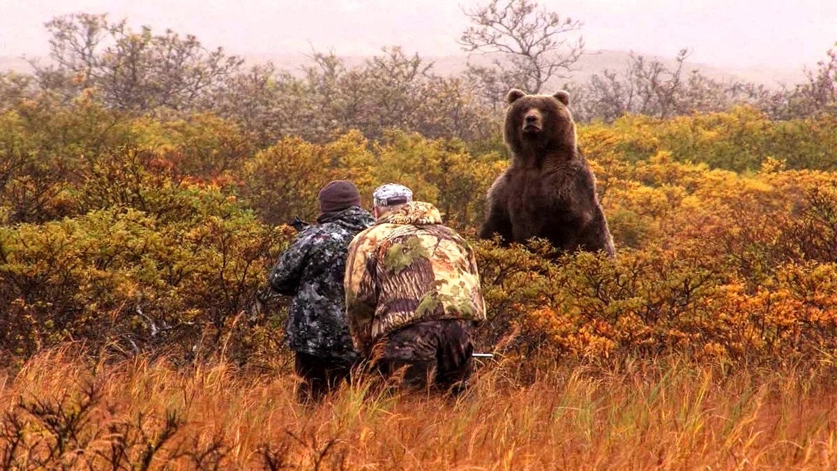 Охота на бурого медведя в тайге