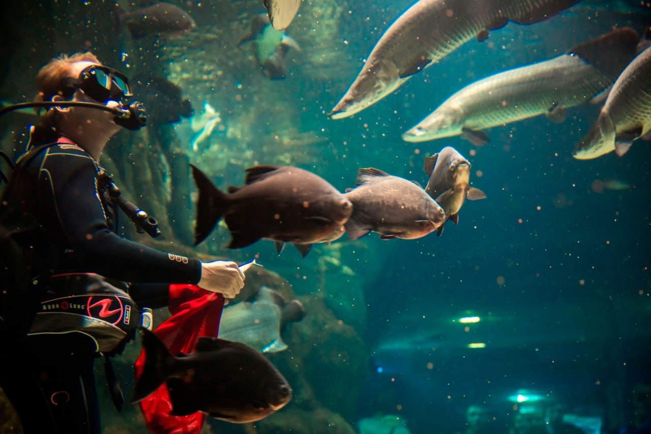 Московский аквариум Москвариум