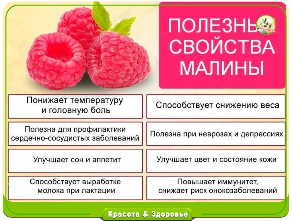 Листья Малины Купить Казань