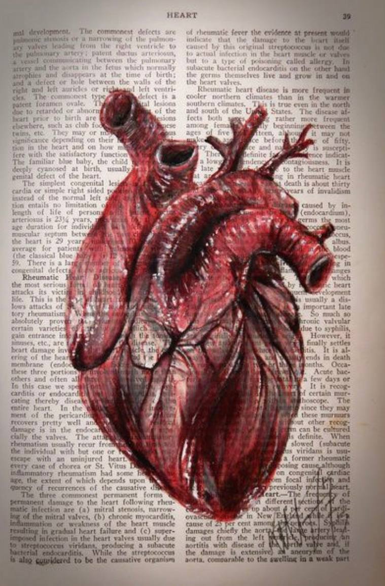 Анатомическое сердце с кровью