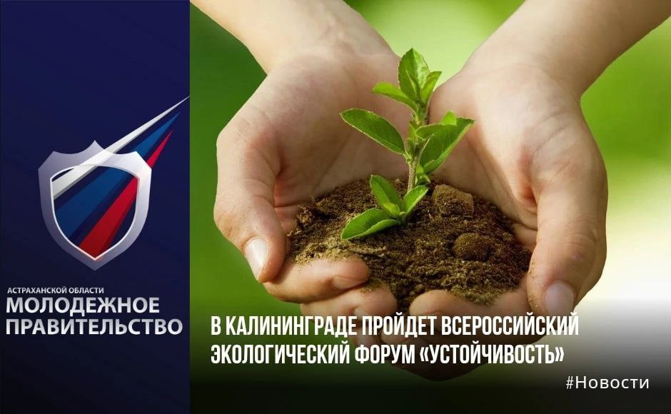 Российский экологический форум 2022. Российский экологический форум 2022 логотип. Акция щетка сдавайся Всероссийская экологическая.