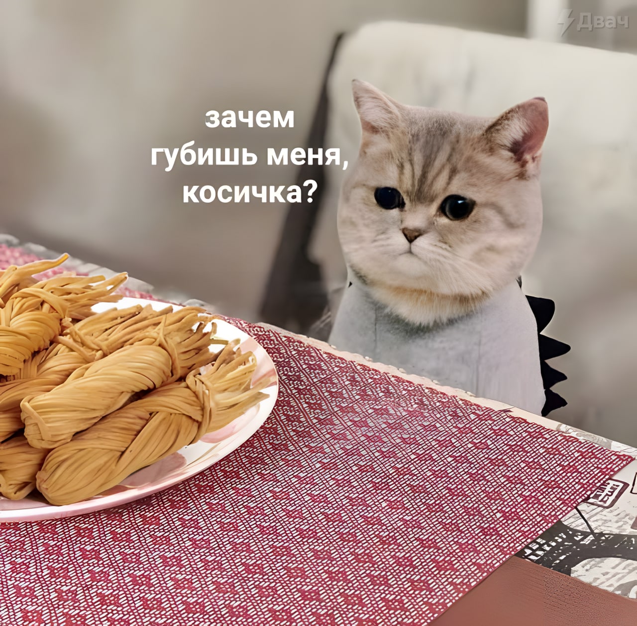 Хочу сыр косичку мем