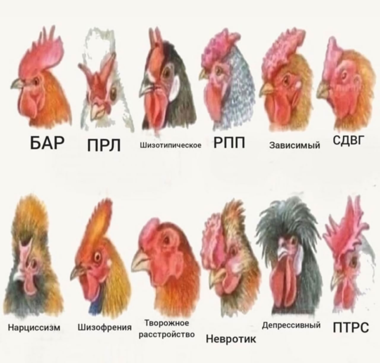 Диагноз ясен. Диагноз вы петух. Диагноз ясен петух. Диагноз ясен вы петух. Диагноз понятен вы петух.