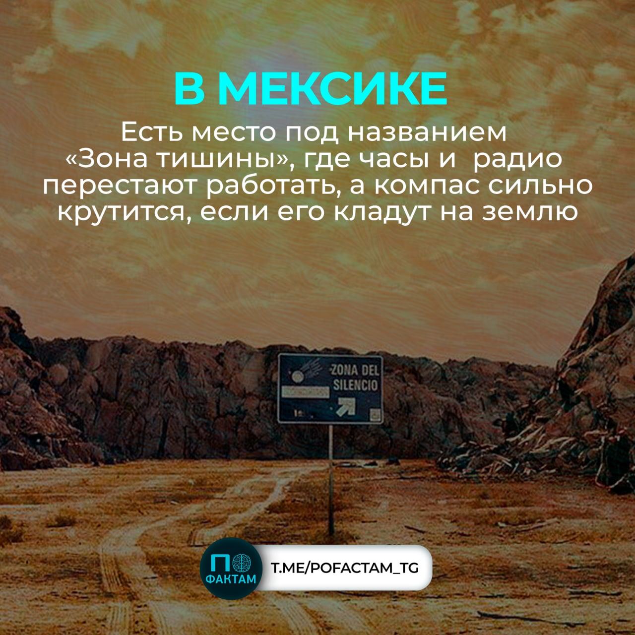 интересные факты телеграмм. интересные факты телеграмм. вт факт канал. возможности телеграмм. интересные факты телеграмм.