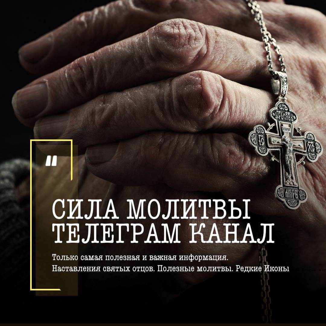 православные братья. православные братья. молодежный фестиваль братья. православная молодежь в израиле. православные братья.