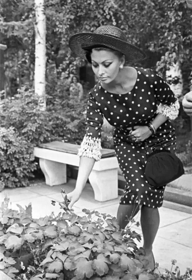 Софи лорен в москве 1965