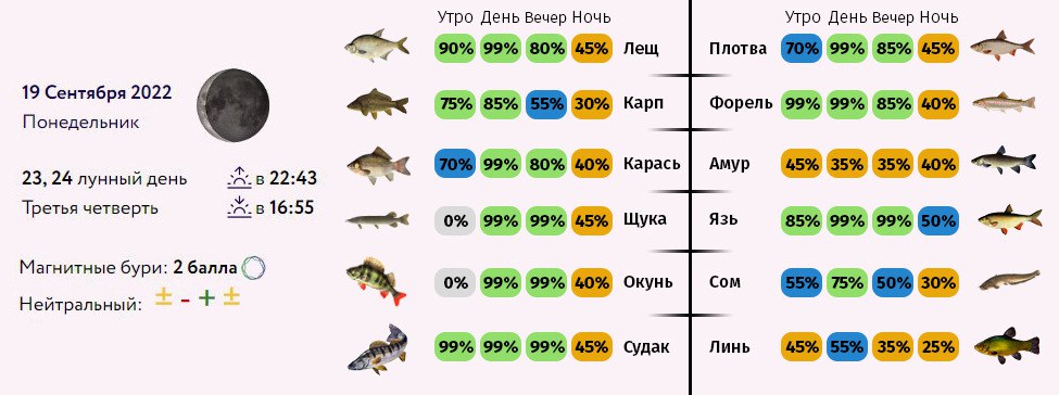 Прогноз клева рыбы ярославль. Клев рыбы по фазам Луны. Прогноз клёва рыбы. Календарь клева рыбы из СССР. Влияние фаз Луны на клев рыбы летом.