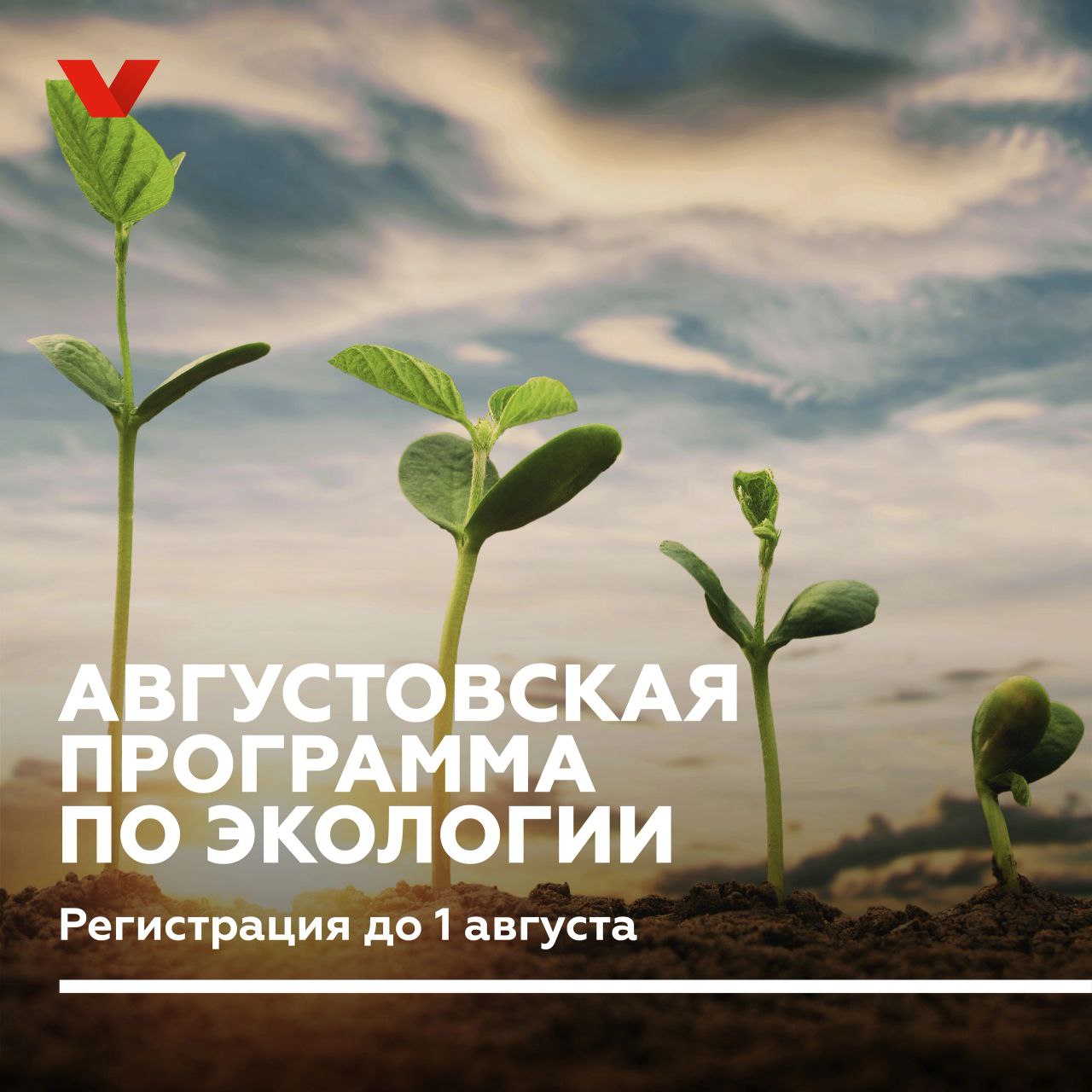 Программа взлетай