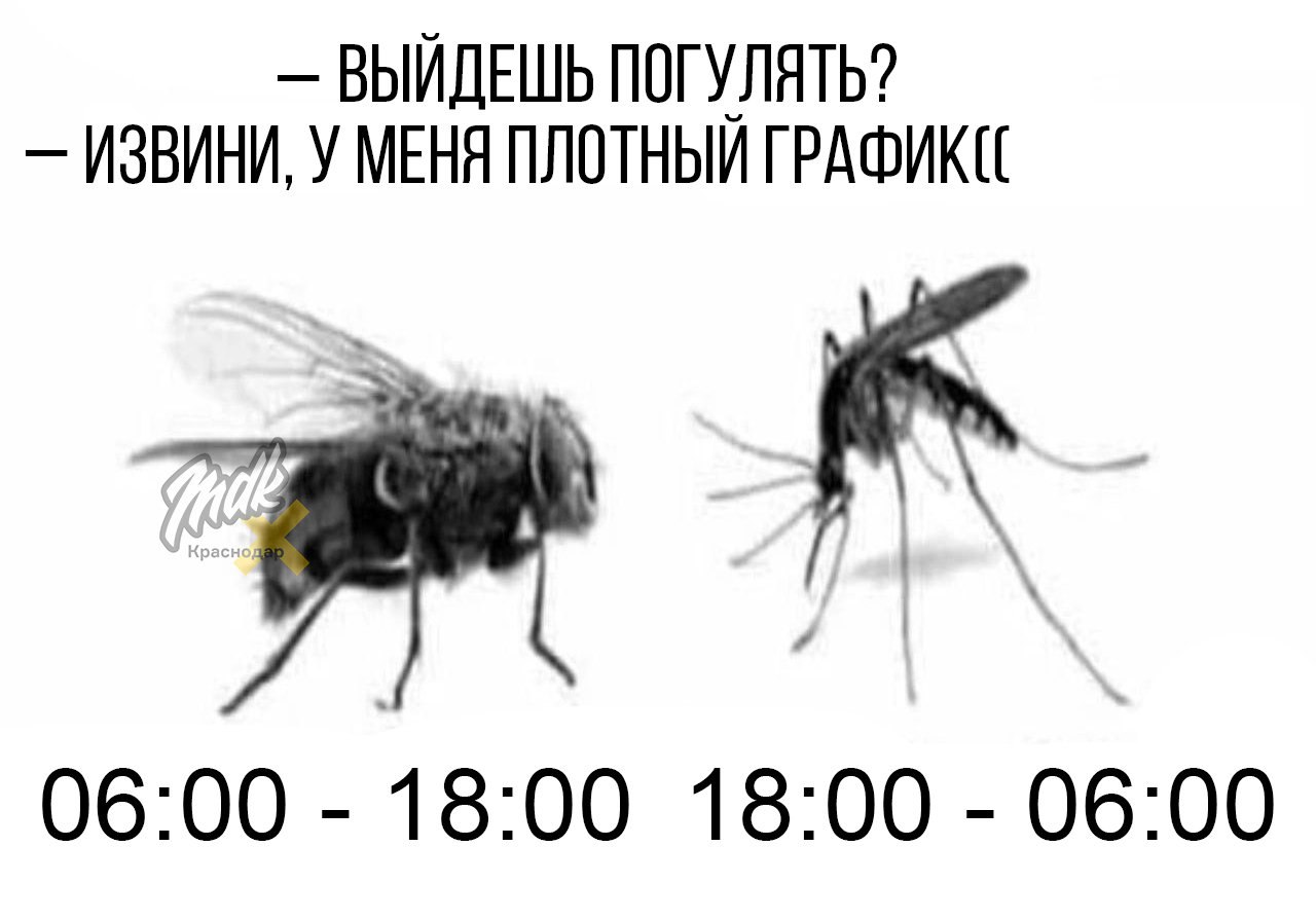 Житуха в 80 на дзене последнее видео
