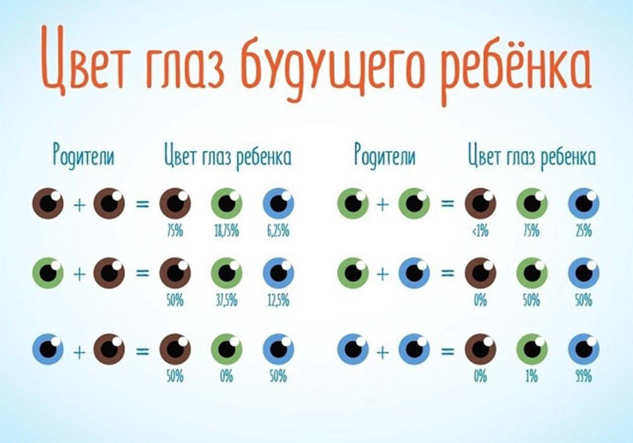 Какие шансы цветов глаз. Вероятность цвета глаз у ребенка таблица. Таблица цвет глаз ребенка по цвету глаз родителей. У отца голубые глаза у матери зеленые какие будут у ребенка. Если у родителей карие глаза какие будут у ребенка.