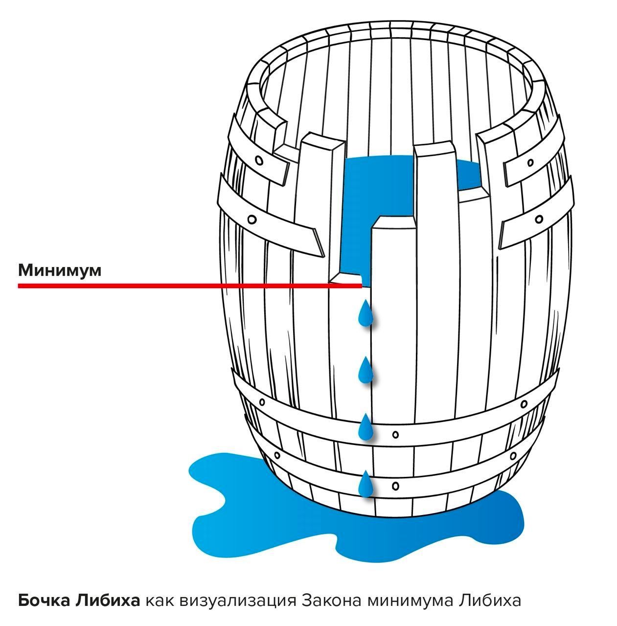 Схема лимитирующего фактора