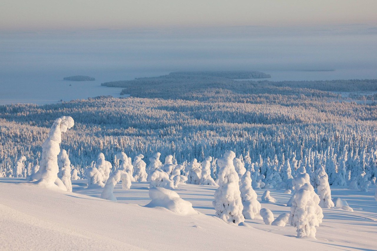 Лапландия национальный парк