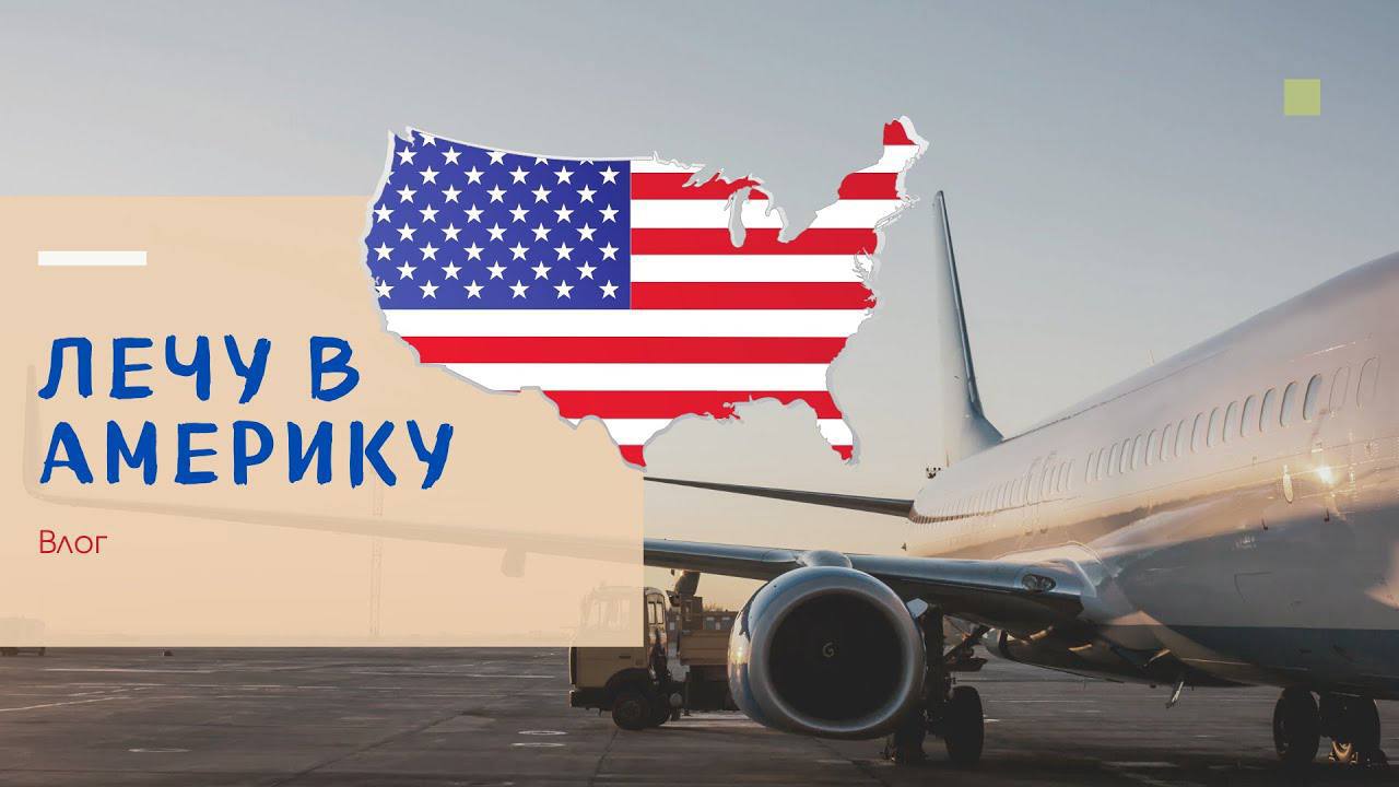 Улететь в сша сейчас. Малышева елена улетела в америку. Елена малышева улетела в сша. American airlines авиакомпании сша. Statue of liberty самолёт.