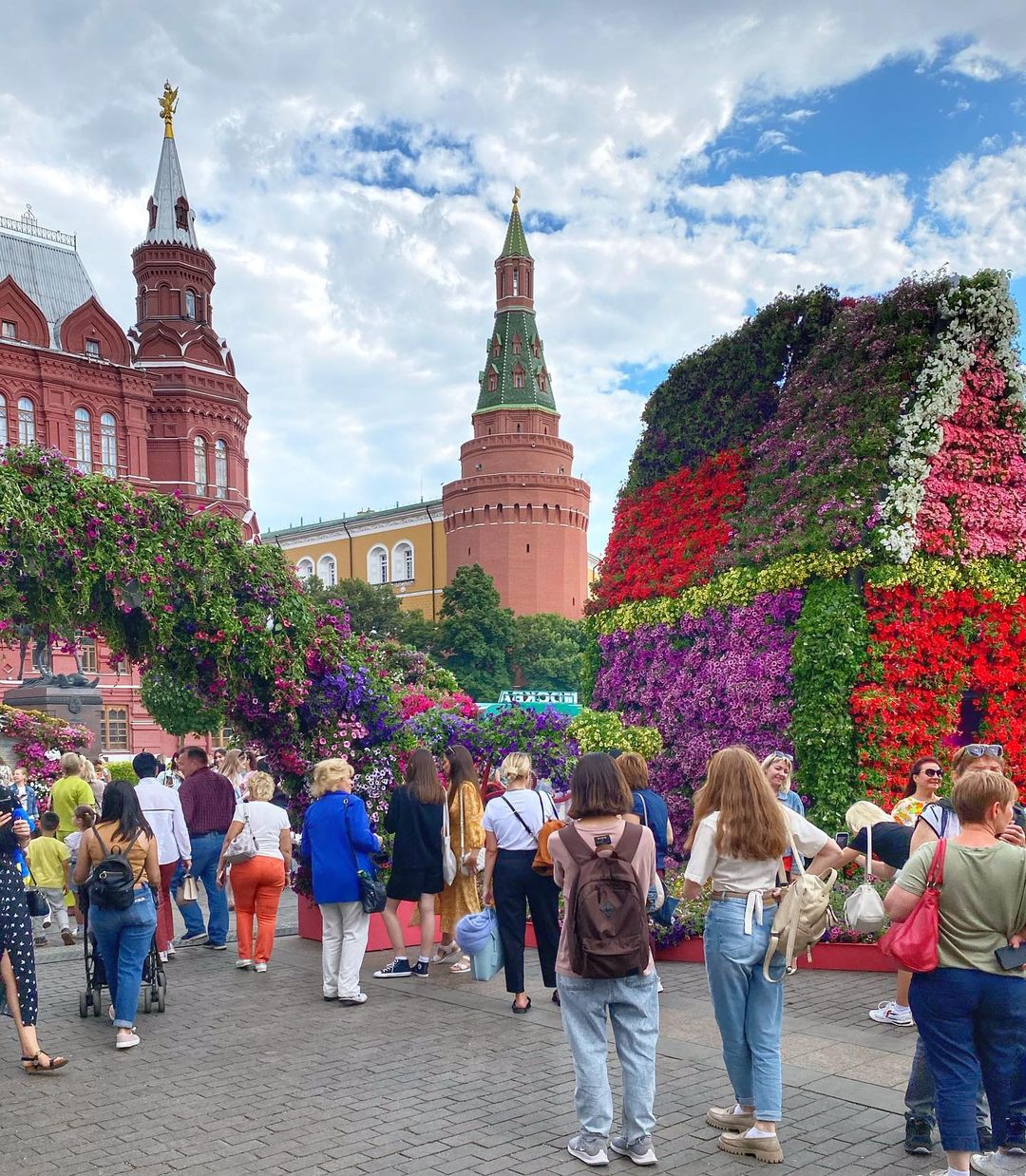 площадь цвета на