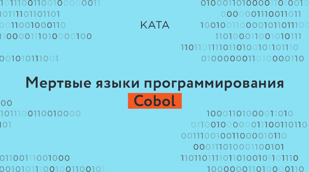 Kata academy реальные отзывы. Мертвые языки программирования COBOL. Kata Academy. Kata Academy договор. Kata Academy отзывы.