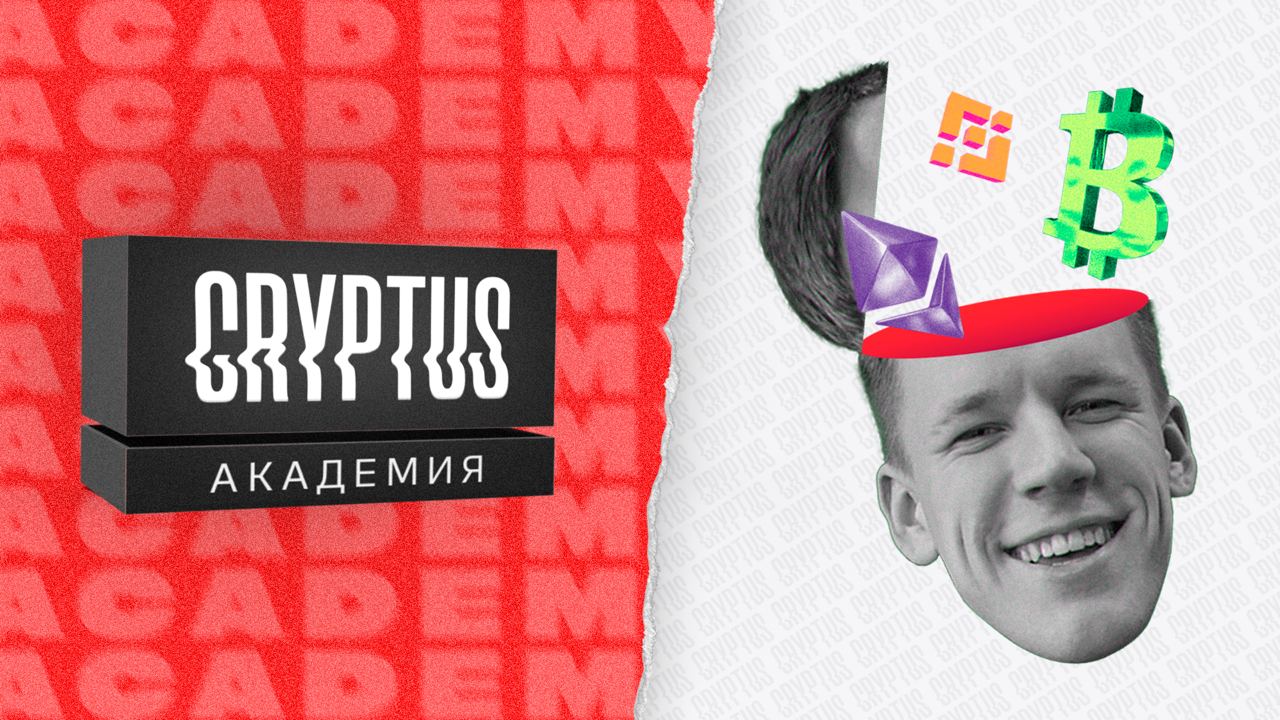 Cryptus academy. Cryptus Никита.