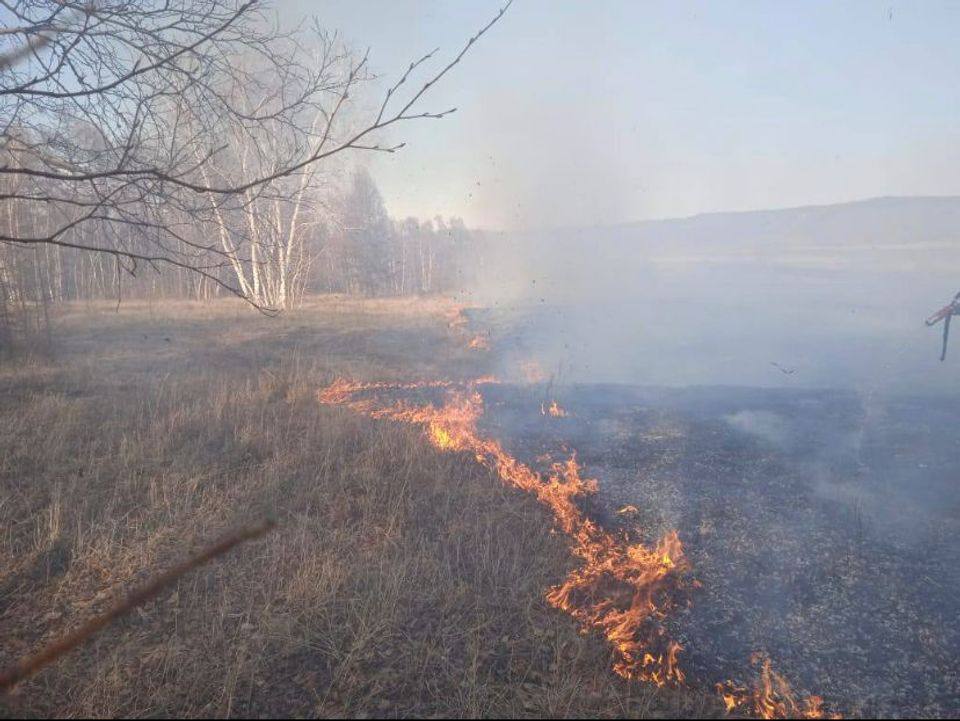 Пожароопасный период 2024 бурятия. Лесные пожары в Якутии 2022. Пожар в лесу. Природные пожары в России. Пожар в тайге.