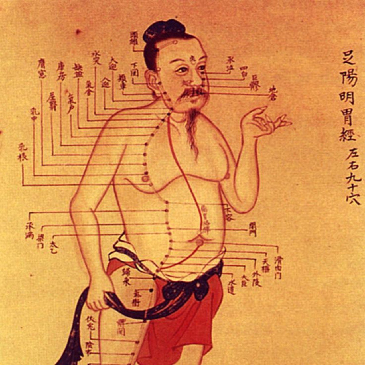 Традиционная китайская медицина акупунктура