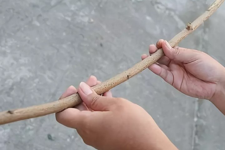 1 палка можно. Ветка палка. Палка деревянная. Из палок и веток. Прут от дерева.