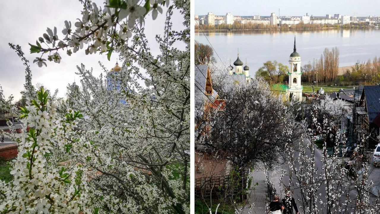 Место воронеж. Красивые места в Воронеже для прогулок на природе. Воронеж места для прогулок. Красивые места в Воронеже для прогулок с детьми.