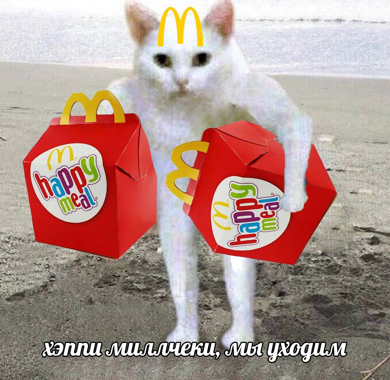 Весело и вкусно это. Макдоналдс прикол. Вкусный баннер. Кошки кушают прикольные фото. Торты для детей.