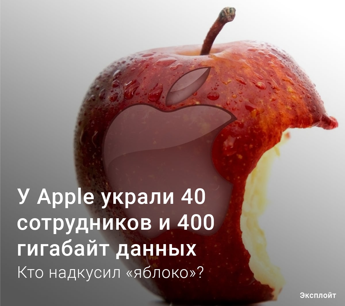 Украл яблоки. Укради яблоко. Мем воровство яблок. Яблоки в саду. Ящик с яблоками.