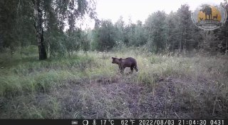 Охотхозяйство чугунаевское. Чугунаевское охотничье хозяйство. Чугунаевское охотхозяйство Тюменской области.